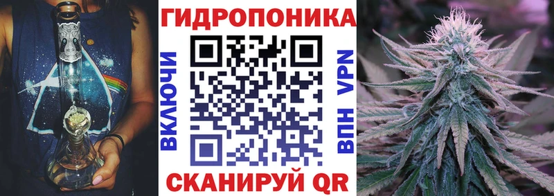Бошки марихуана план  как найти   гидра сайт  Рыльск 